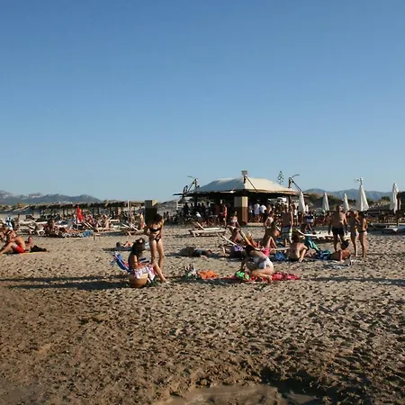 Holidays 3 *